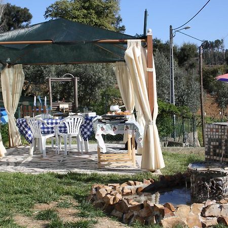 Willa Quinta De S. Luis - Valada Figueiro Dos Vinhos Zewnętrze zdjęcie
