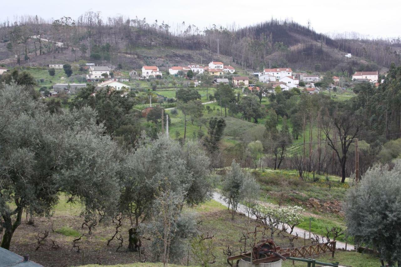 Willa Quinta De S. Luis - Valada Figueiro Dos Vinhos Zewnętrze zdjęcie